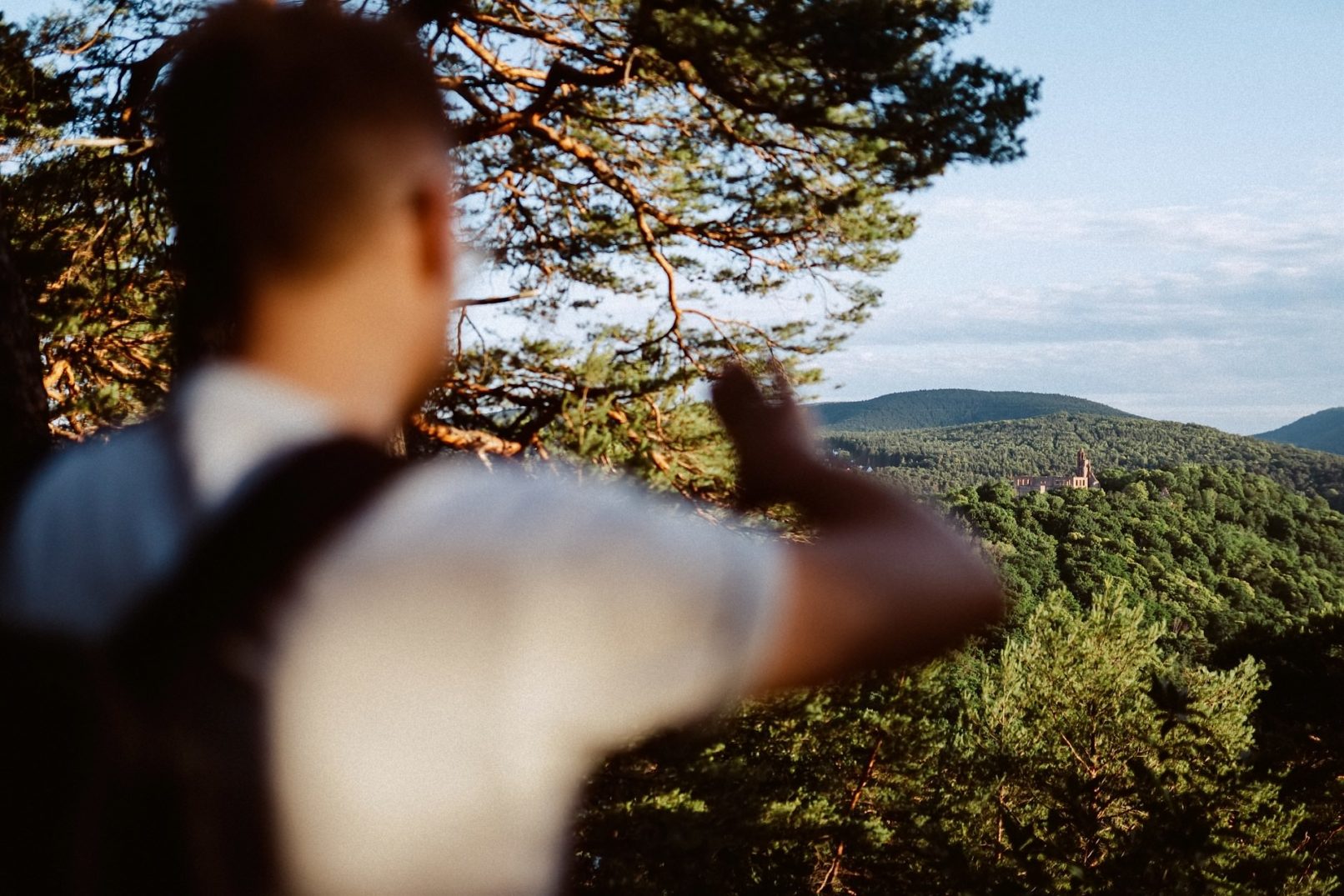 Ausblick auf die Burgruine Bad Dürkheim