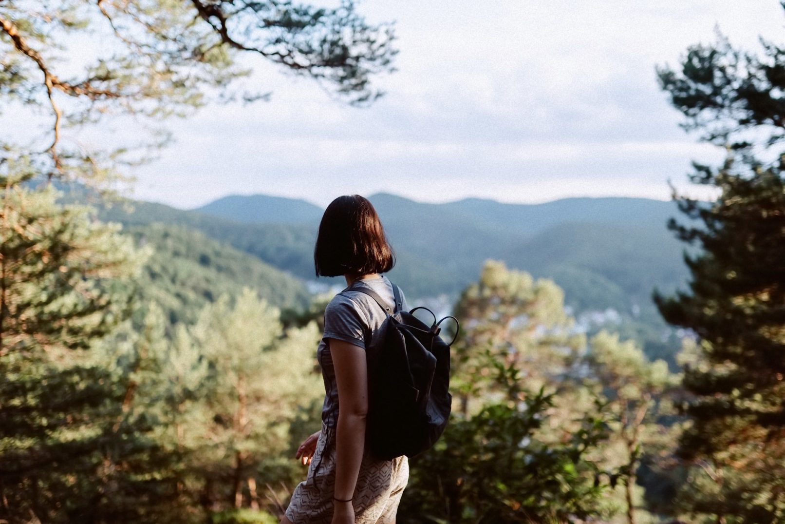 Aussicht auf den Pfälzer Wald, Reportagefotografie Neustadt