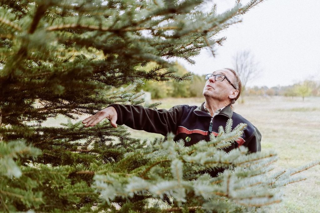 Reportagefotografie in der Pfalz, unterwegs mit einem Förster für Weihnachtsbäume in Mannheim