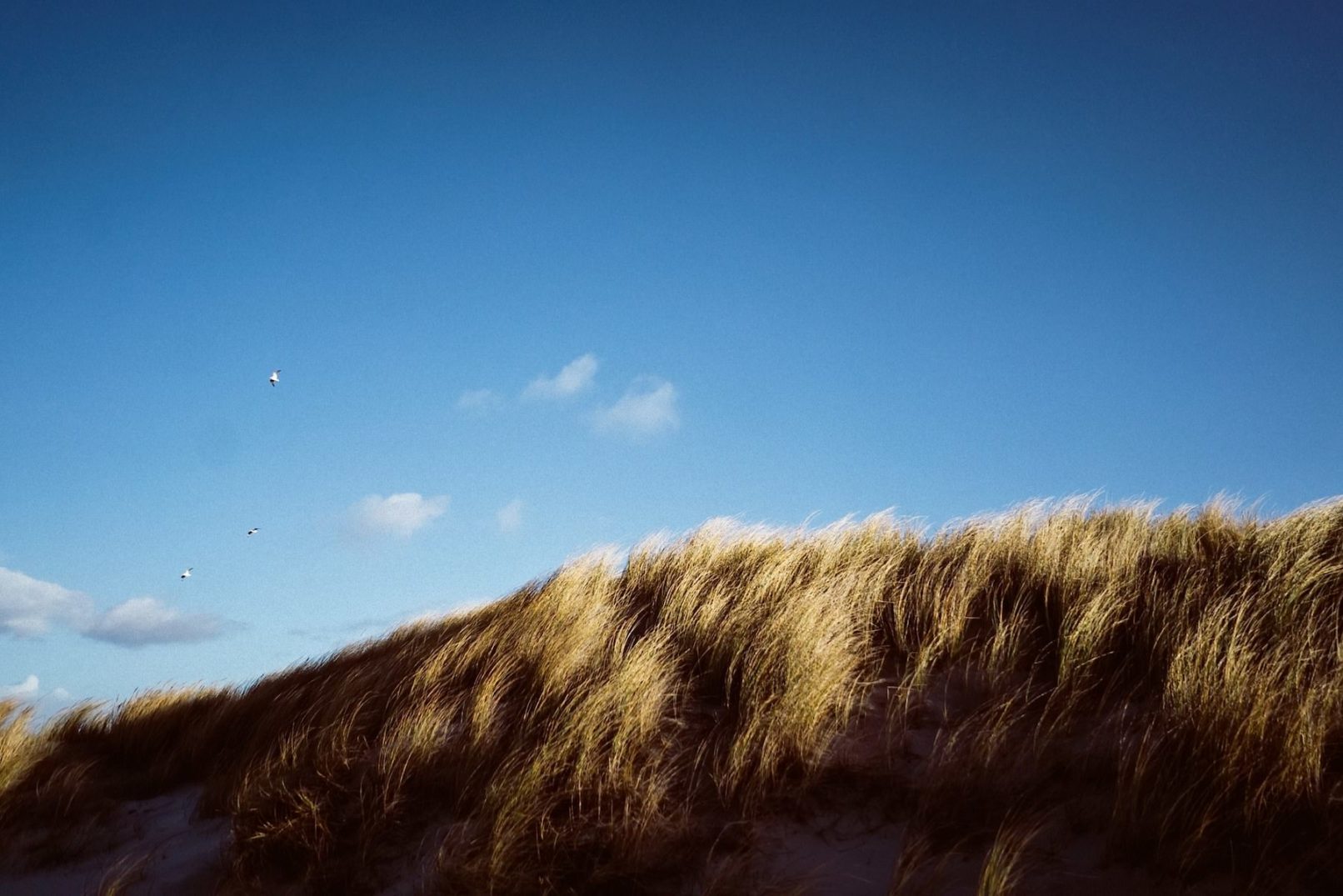 düne juist nordfriesland reisefotografie