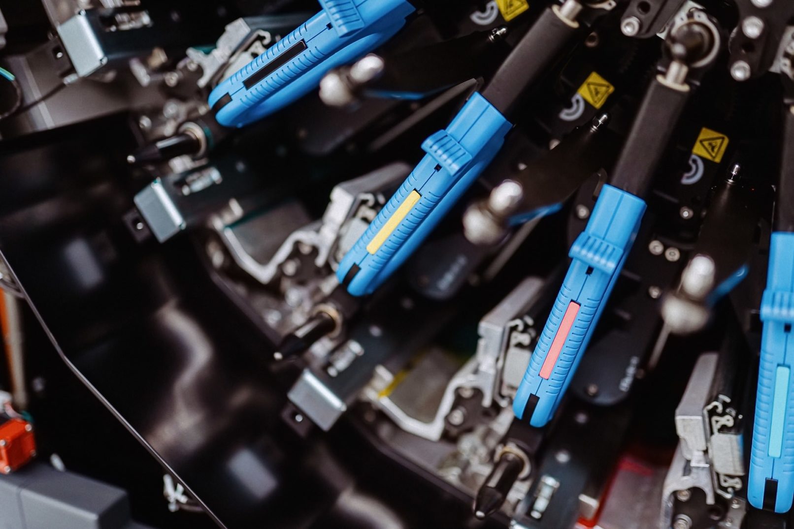 packex worms social media bilder