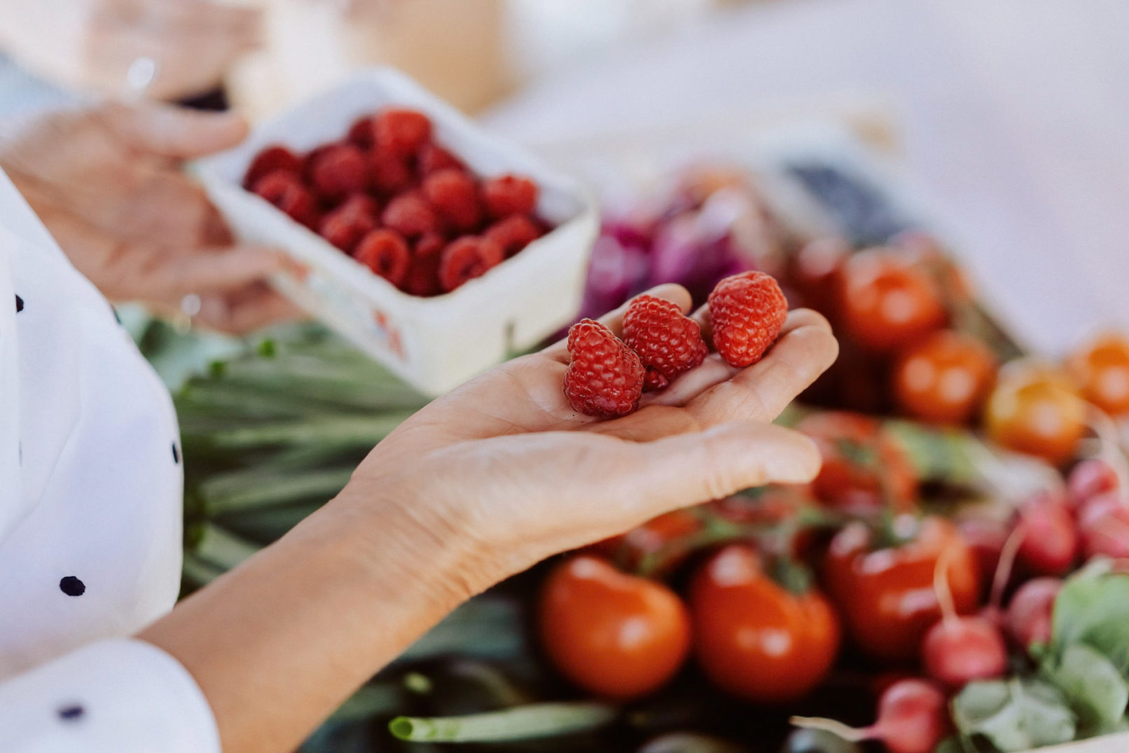 website fotos pfalz himbeeren