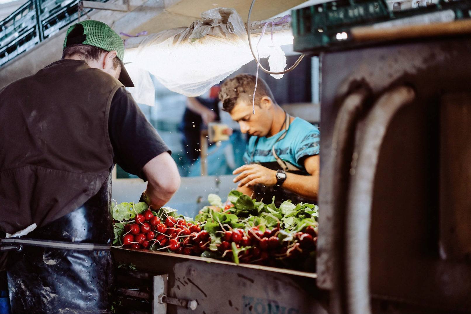 Reportagefotografie in der Pfalz bei einem Großbauern