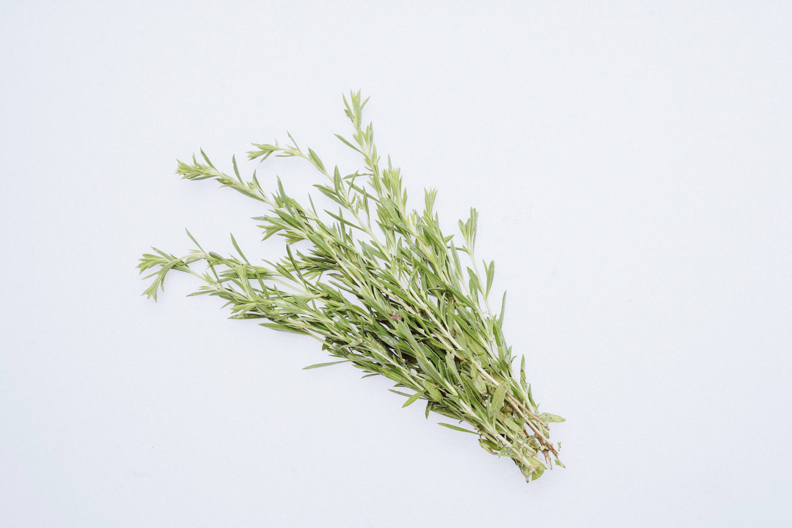 produktfotos gemüse website