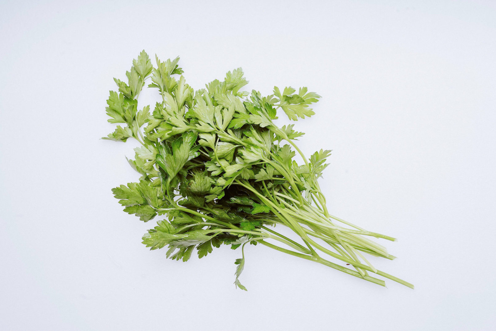 produktfotos gemüse website