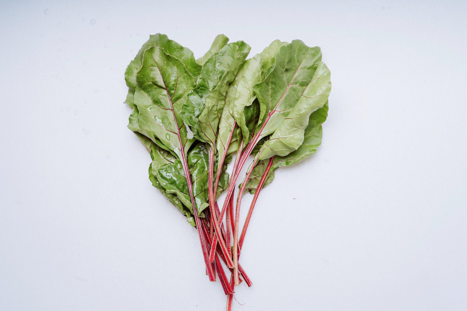 website fotos produkte shop