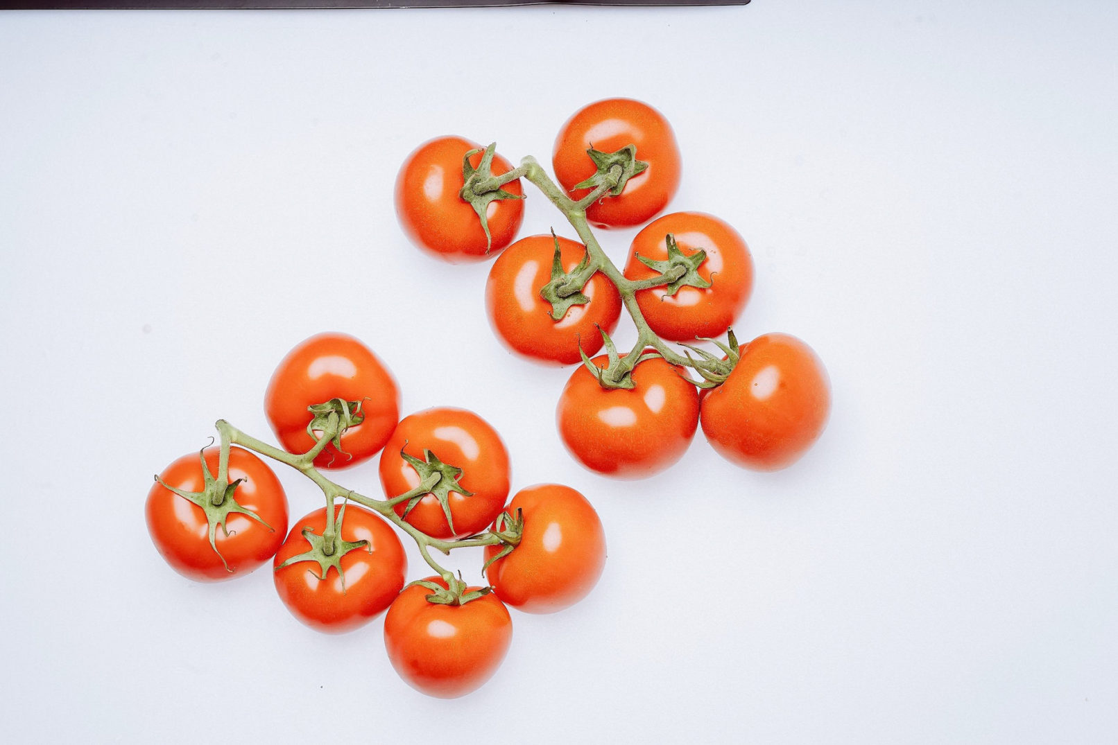 website fotos pfalz fesa tomate