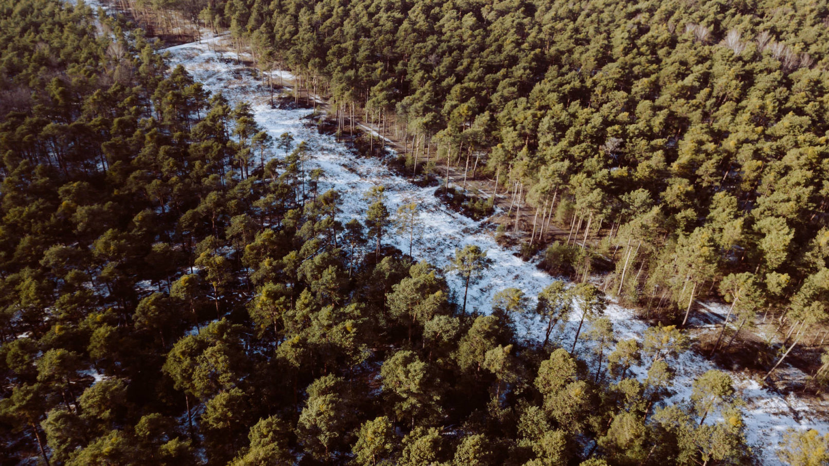 luftaufnahme pfalz winter